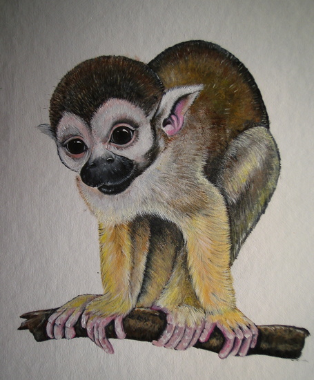 Doodshoofd aapje voor kinderen