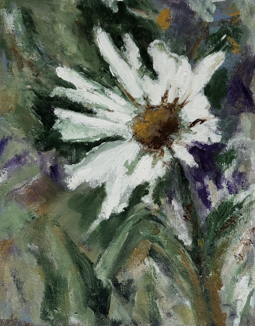 Dansende Madelief - Marguerite dansante