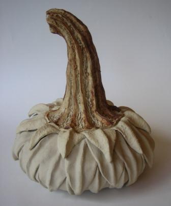 leucanthemum vulgare