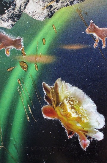 Het verdriet van verlies