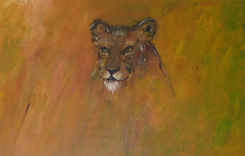 jonge leeuw