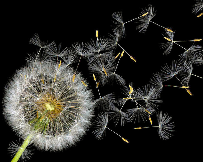 Breaking Away From the Pack