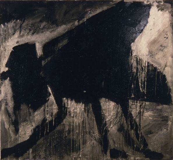 bromvlieg Virginia XII