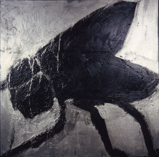 bromvlieg Angel VIII