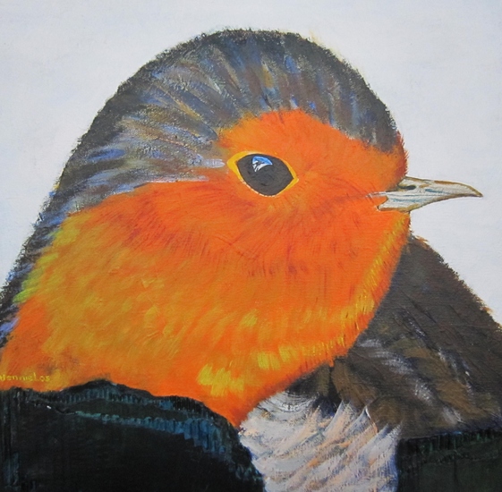 Portret van een roodborst