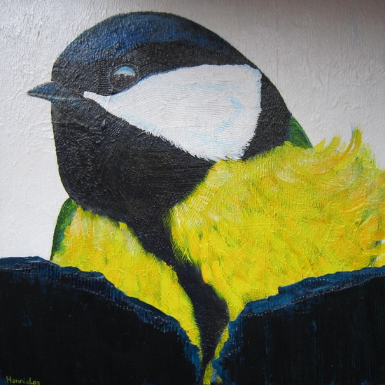 Portret van een koolmees