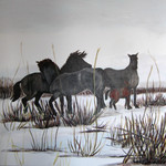 van afrika tot de oostvaardersplassen