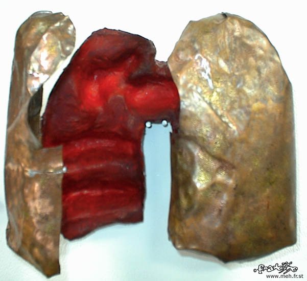 Lungs Box