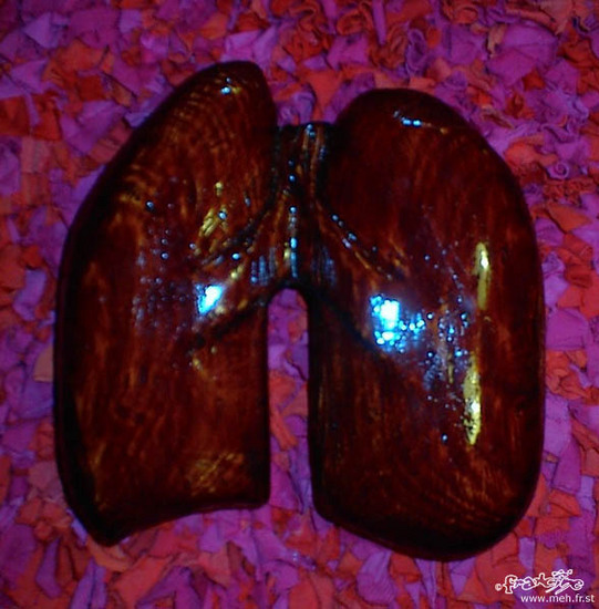Wood Lungs