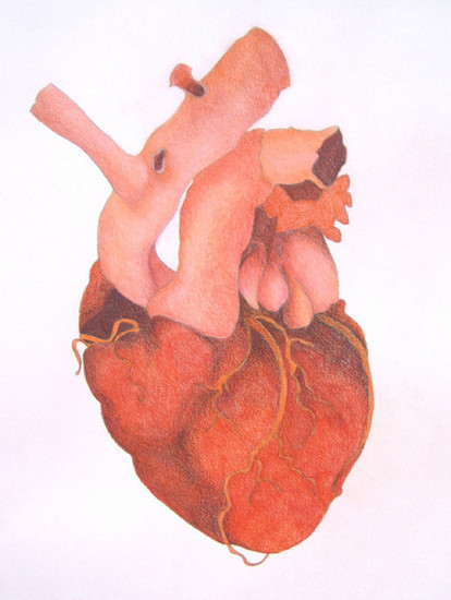 Heart