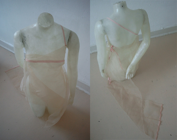 transparent dress