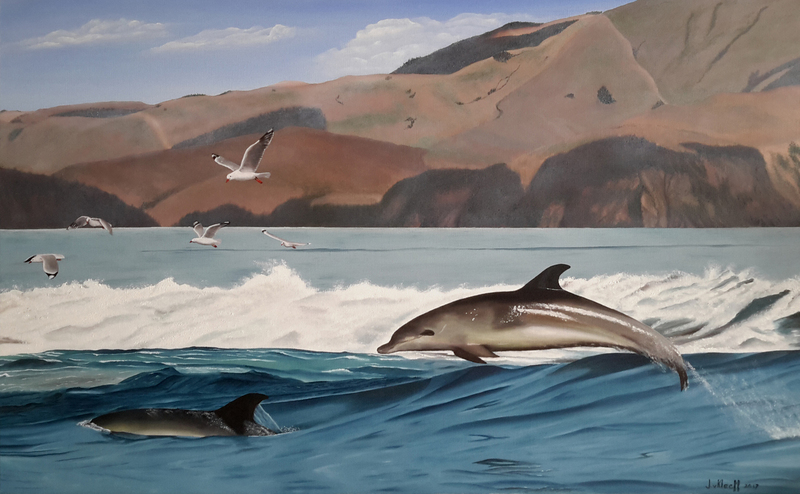 Dolfijnen en meeuwen