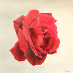 Schilderijen van bloemen