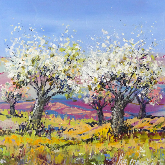 Apple trees in a yellow field 