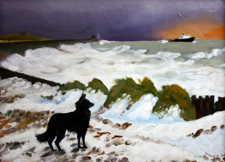 Fega aan het strand in de winter