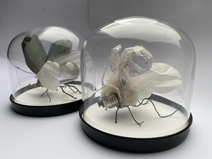 Gebaseerd op het rariteitenkabinet en mijn verzamelwoede. Alles staat mooi onder een stolp. Bekijk het dagelijkse eens heel erg goed...