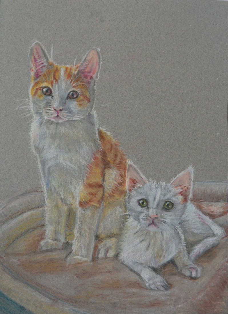 kittens