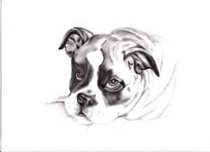 werken met een zeer droog penseel. Hiervoor wordt olieverf gebruikt. De ondergrond is glad aquarelpapier