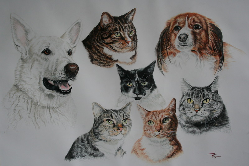 honden en katten
