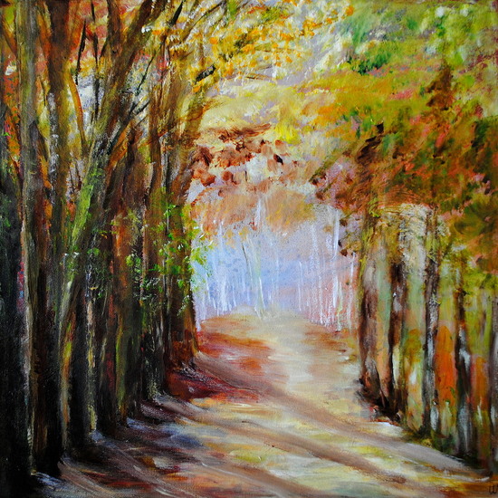 Zon in de herfst in het bos