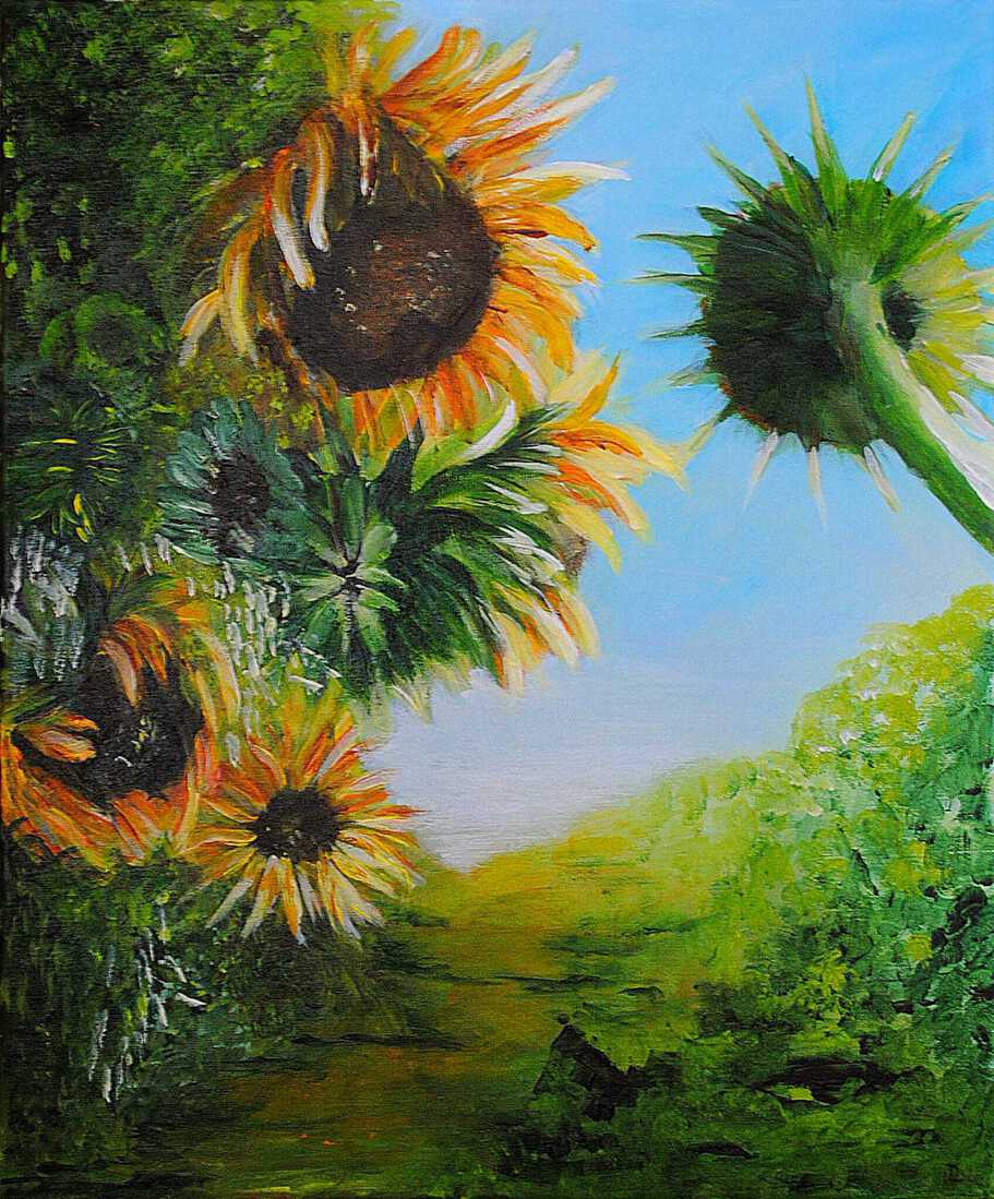 Zonnebloemen 