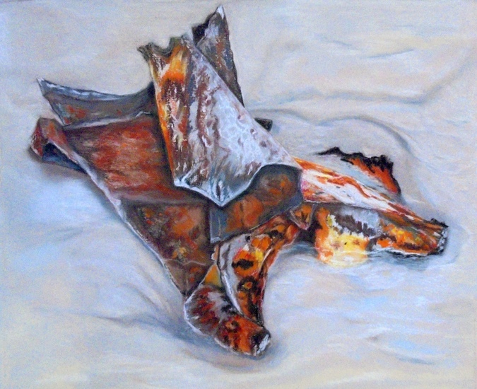 Brought by the sea 14