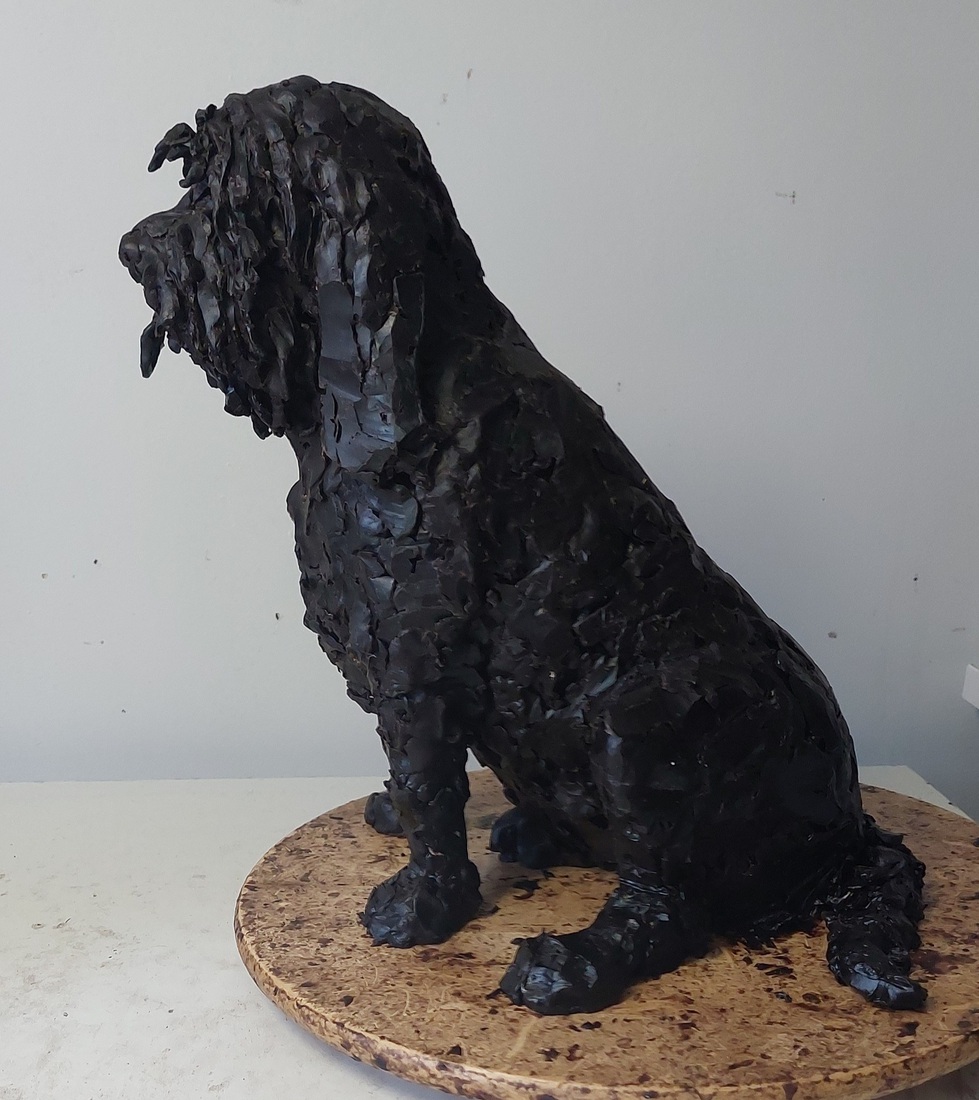 Petit Basset Griffon Vendeeën, opzet.