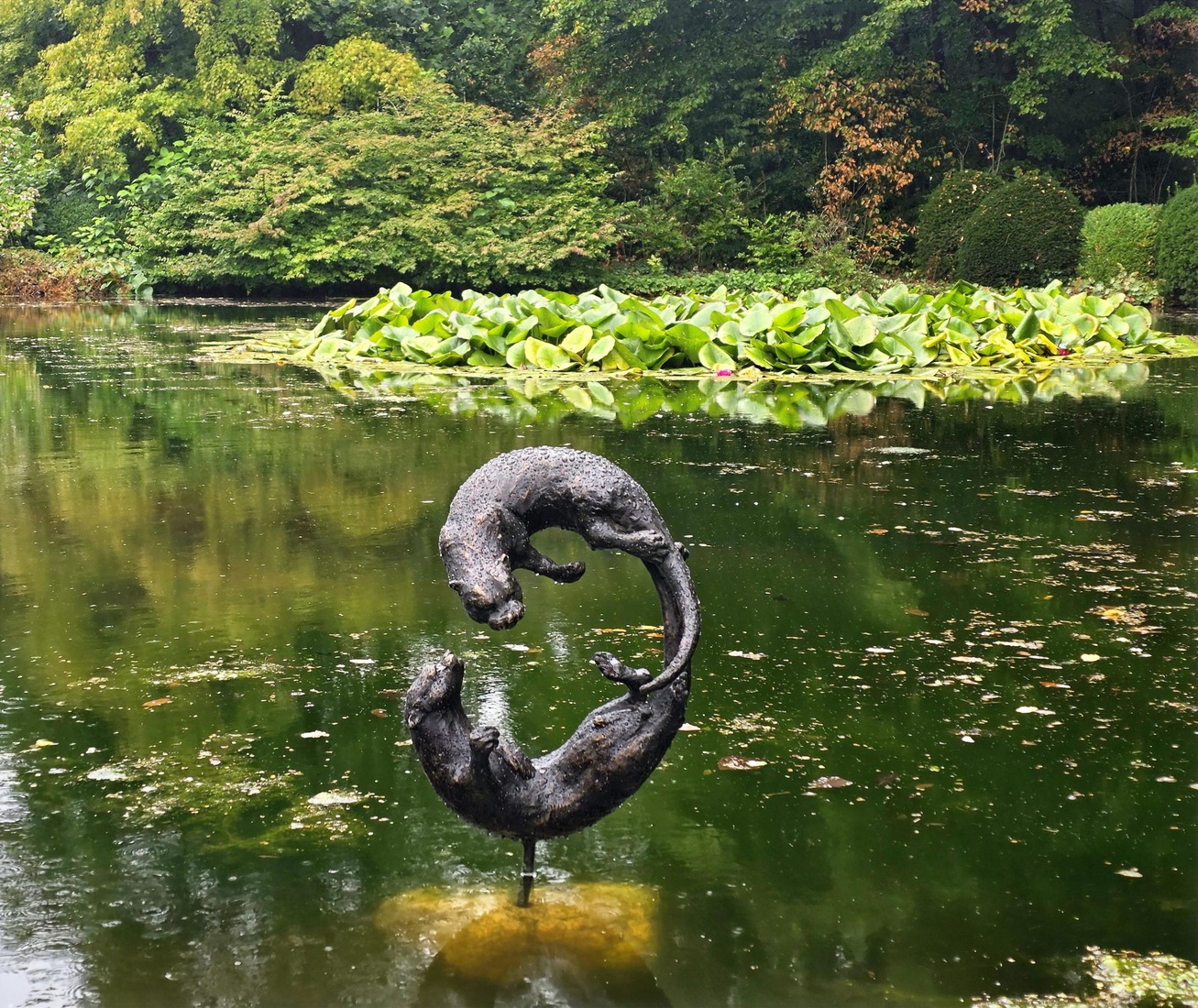 'Spelende Otters'