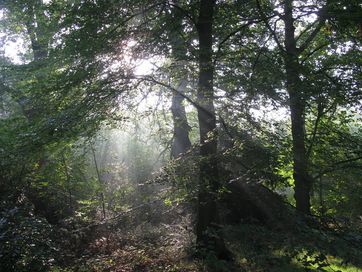 The Horsten Estate, Wassenaar