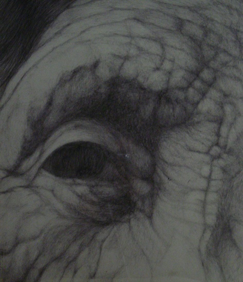 Hasta donde sea posible