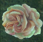 olie verf bloemen en planten