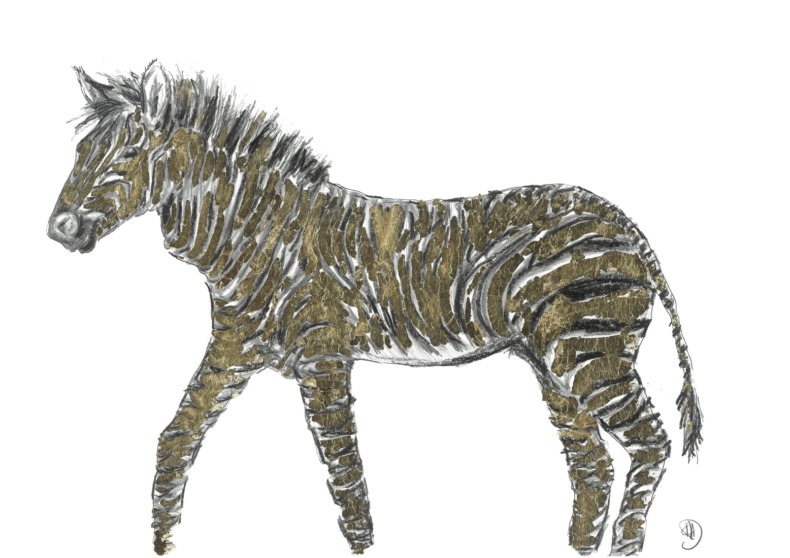 Cape Mountain Zebra