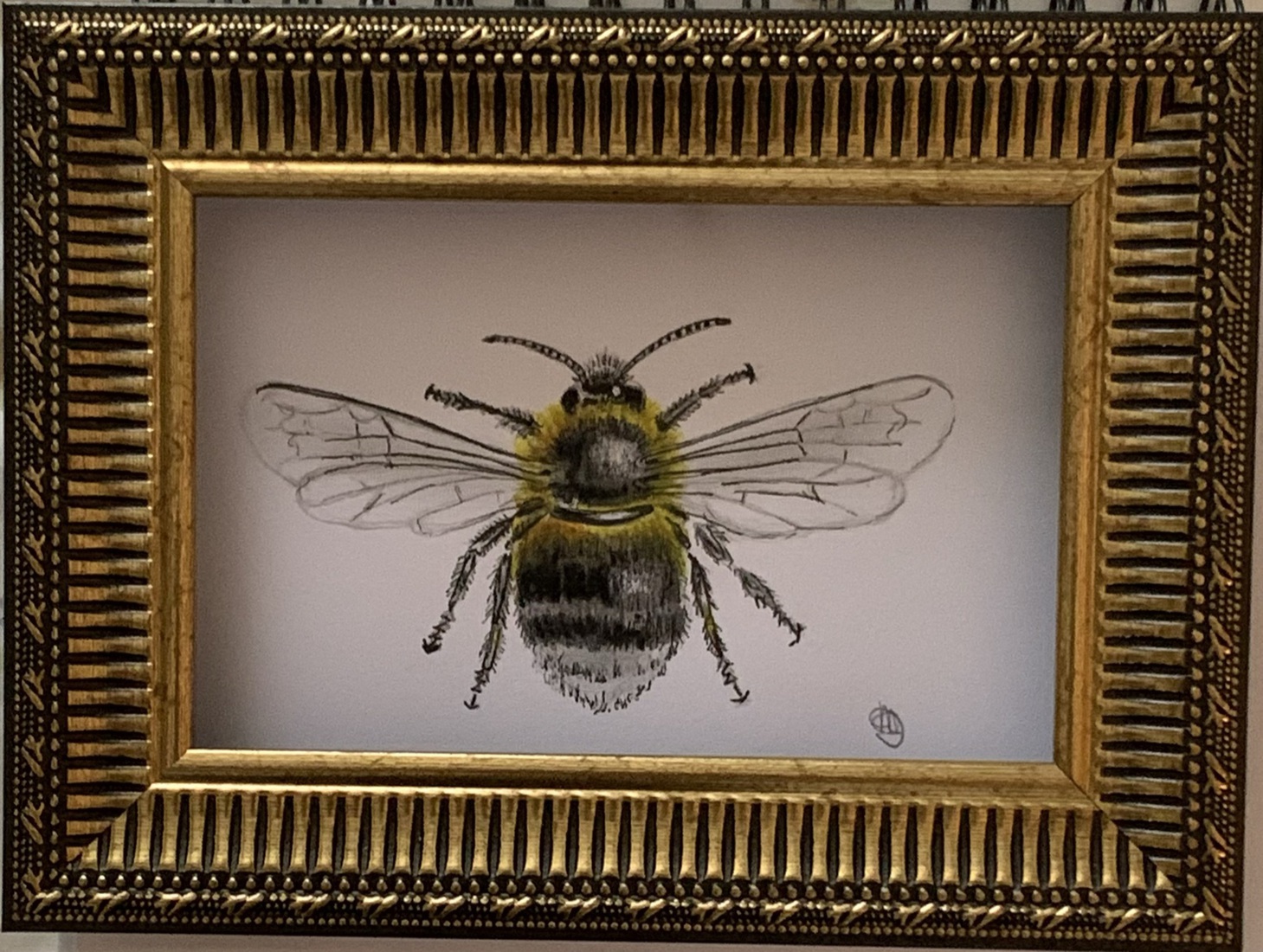 Hommel