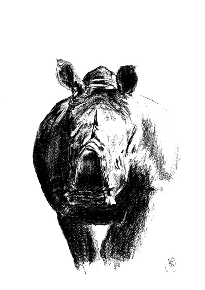 Rhino