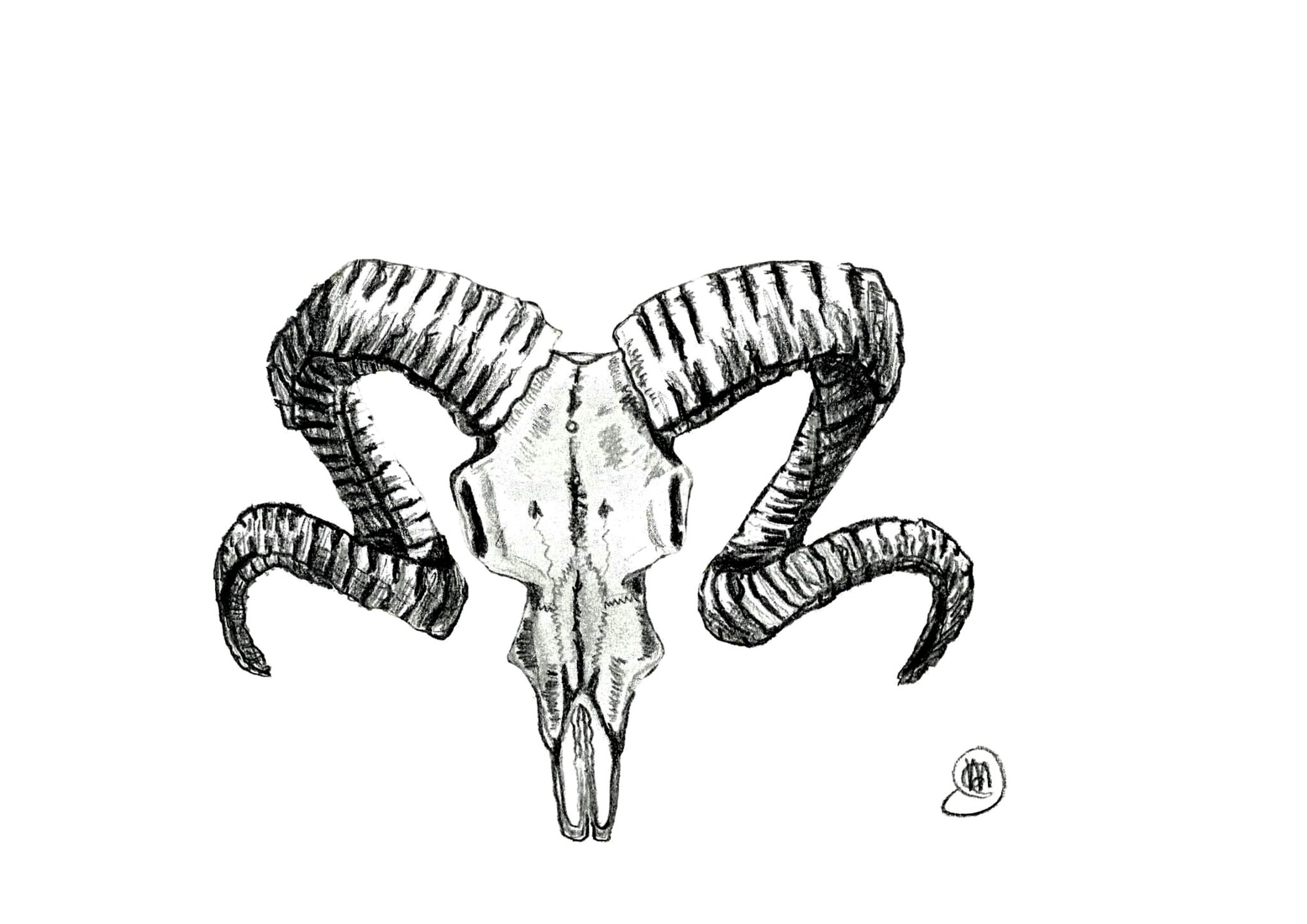 Ram
