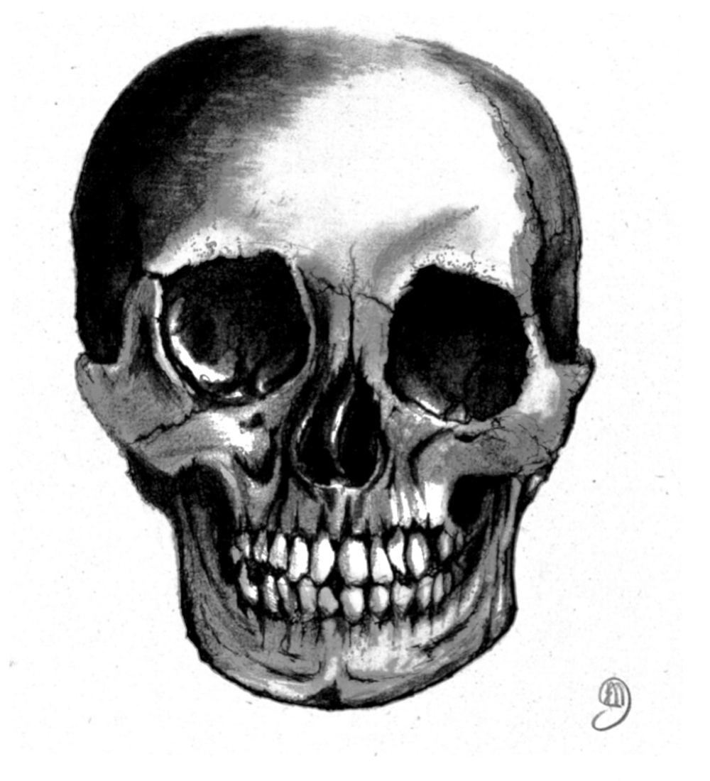 Skull 