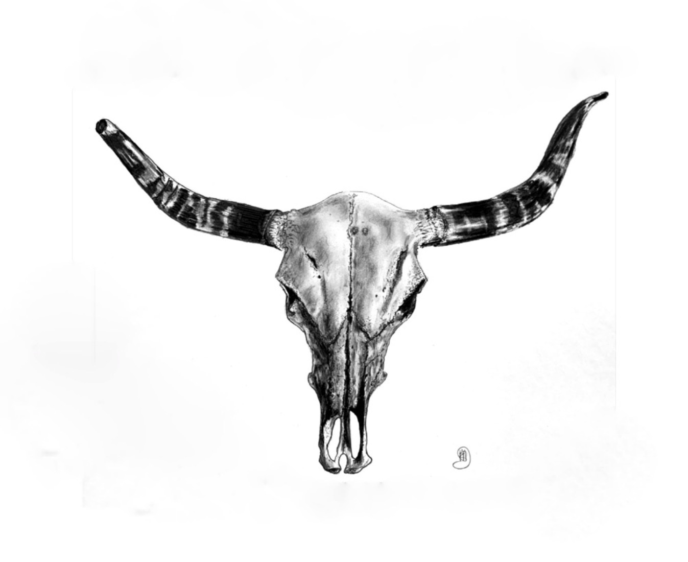 Nguni