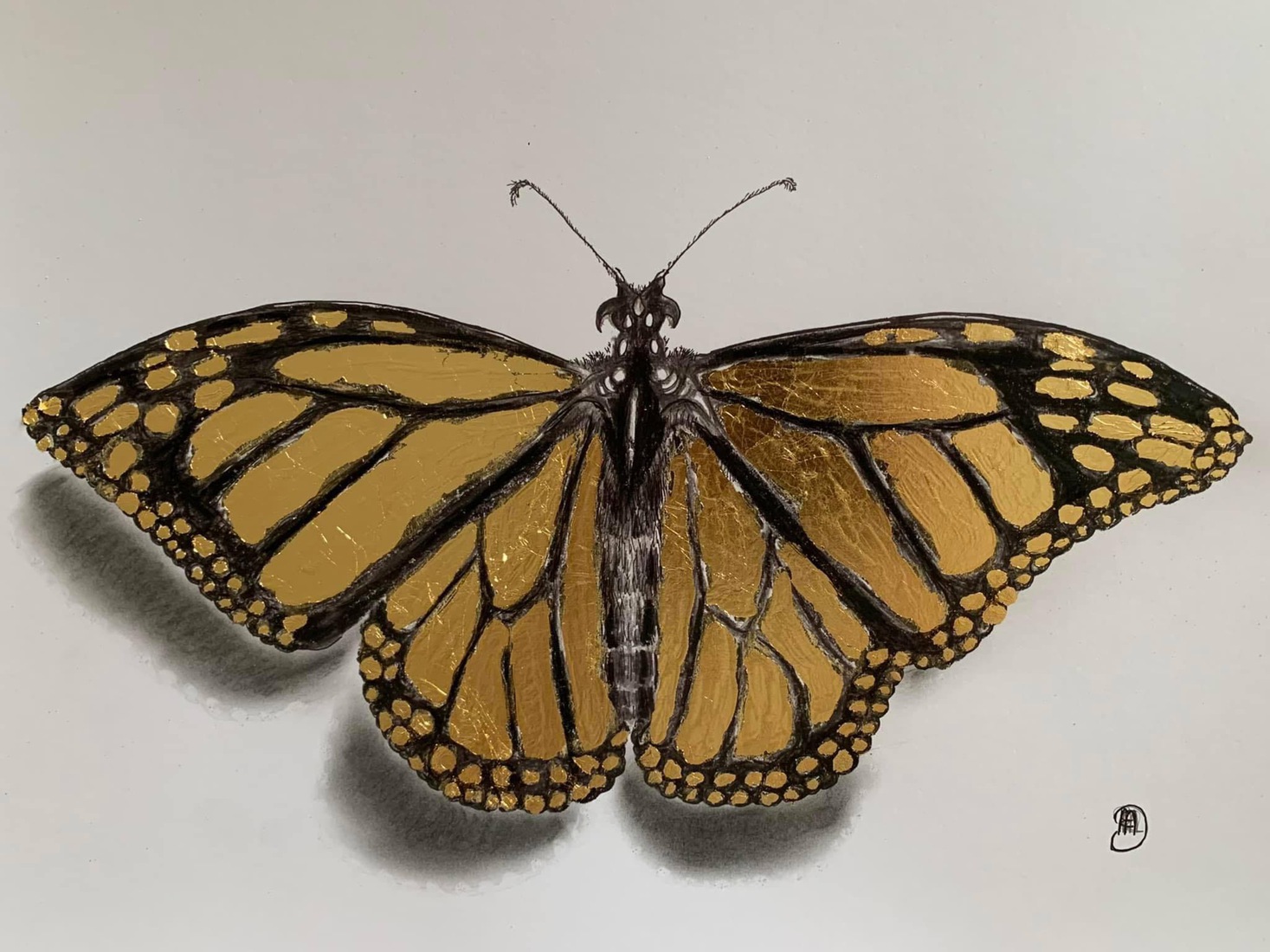 Monarch 