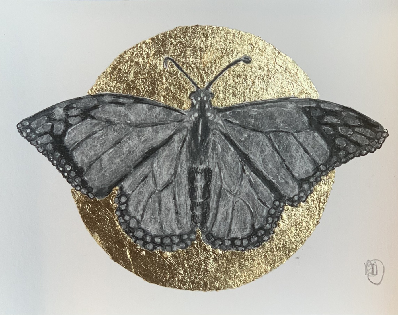 Vlinder