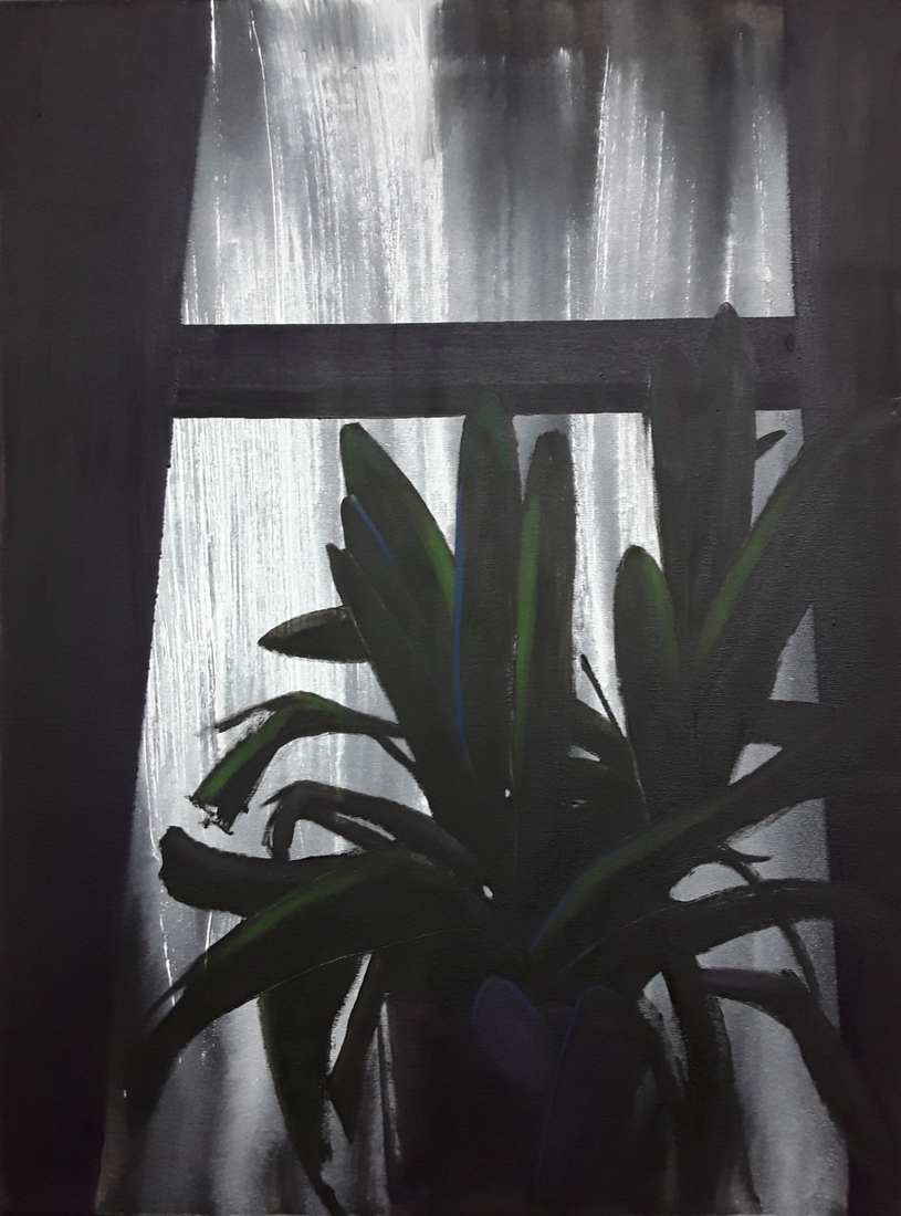 Plant in vensterbank