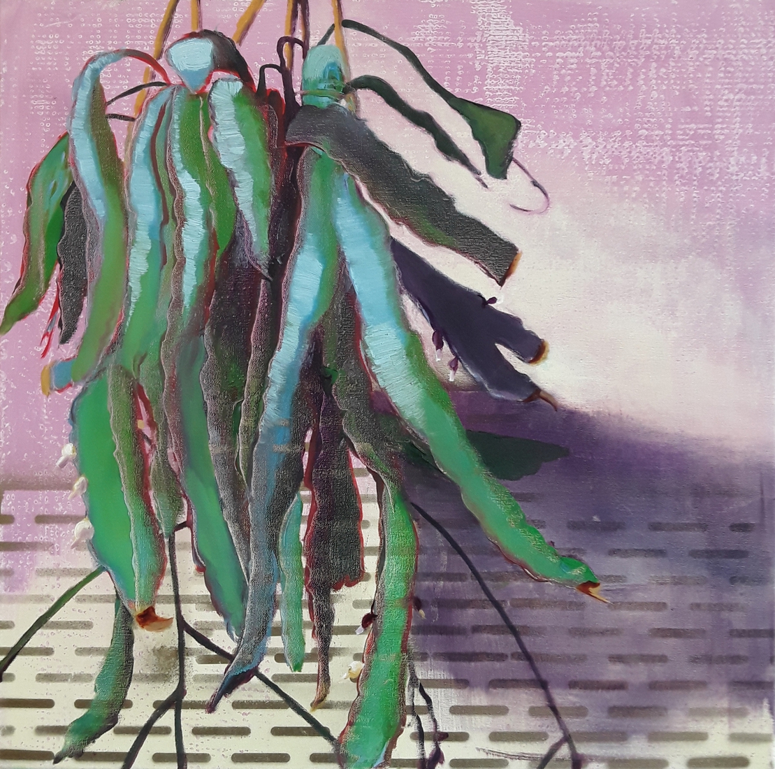 Lepismium bolivianum, olieverf en spuitwerk op doek, 60 x 60, 2019