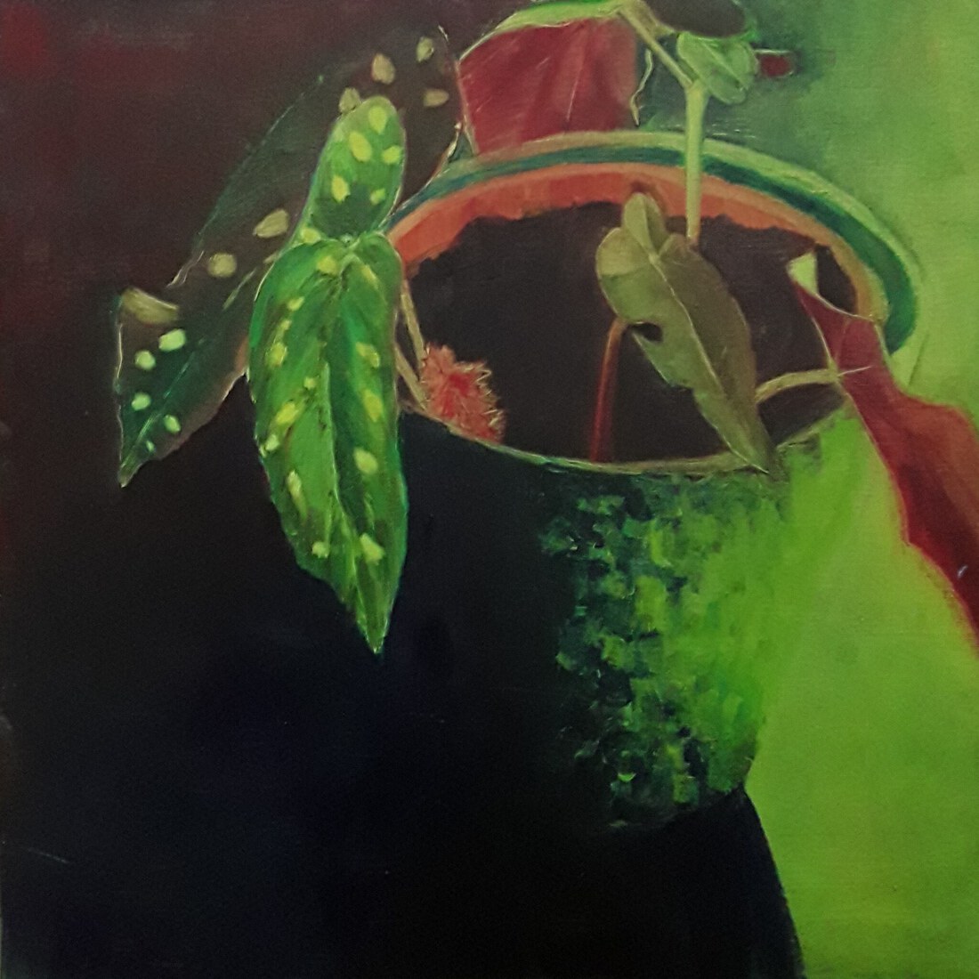 Realistische Stipbegonia groen