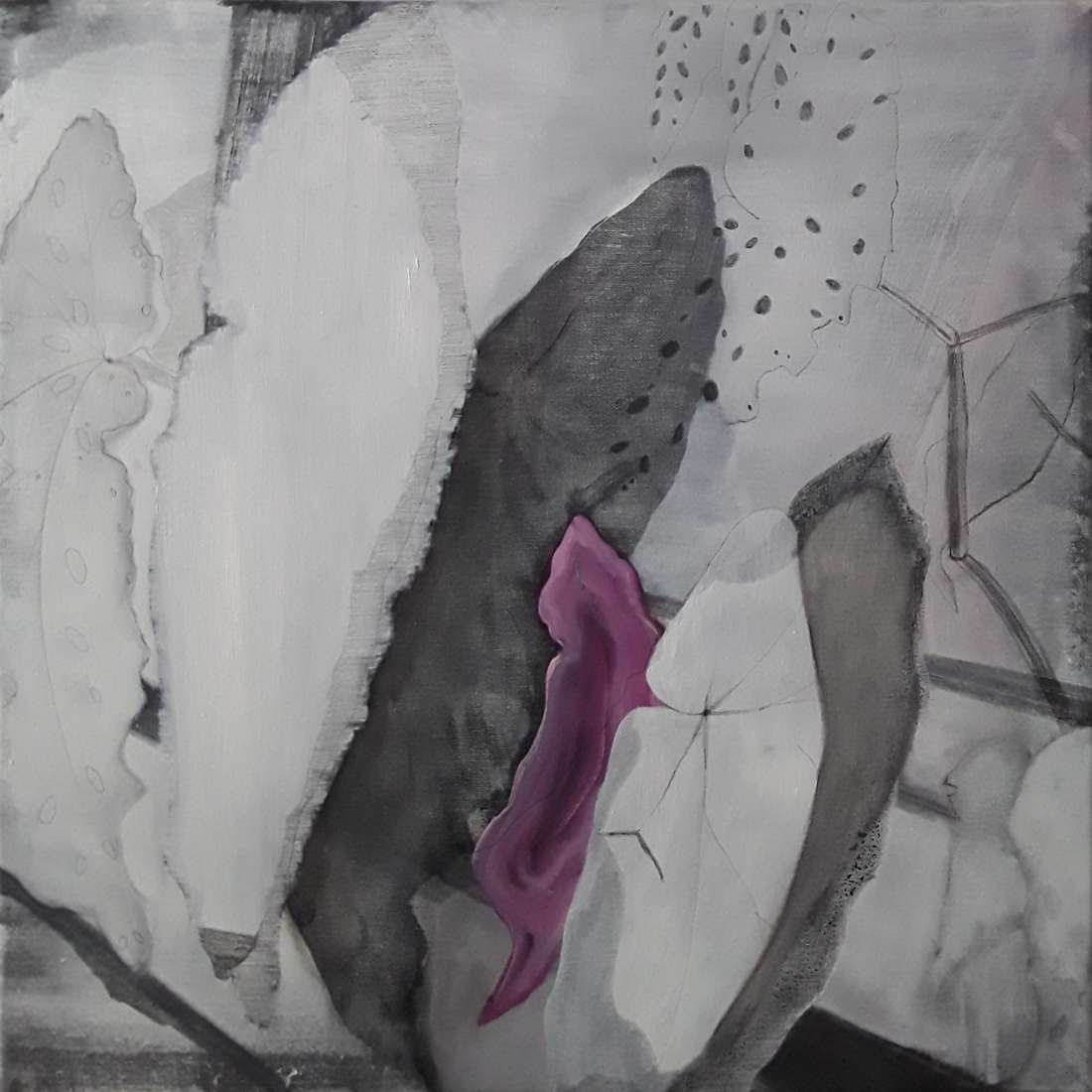 Stipbegonia geabstraheerd 1