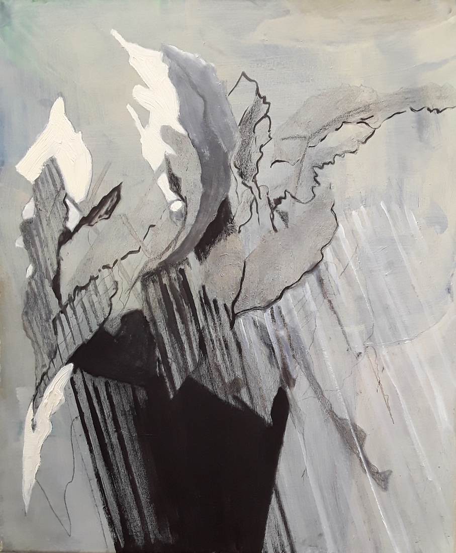 Stipbegonia zwart wit in pot 1