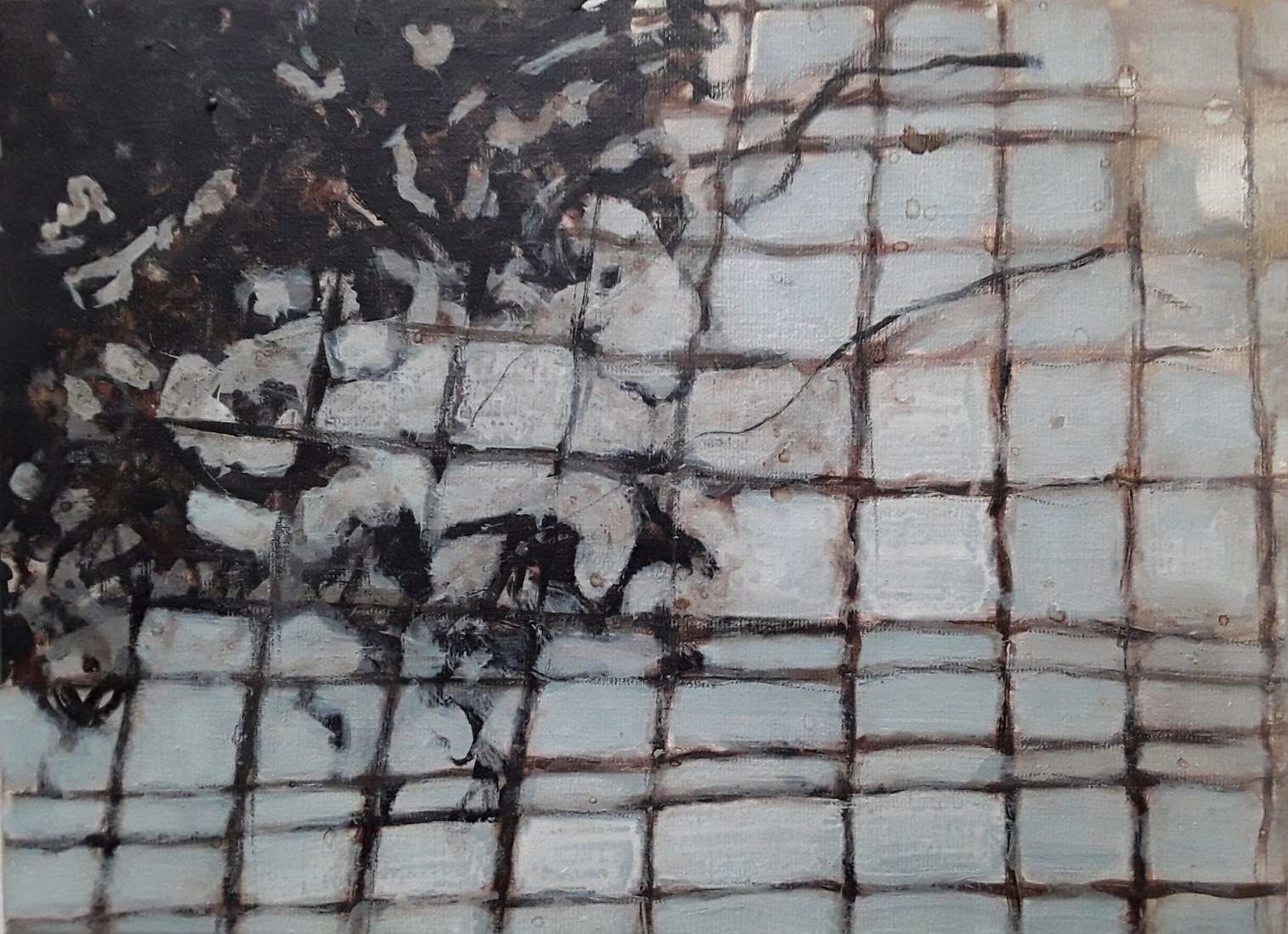 Hortus Leiden, drijvende planten in kas