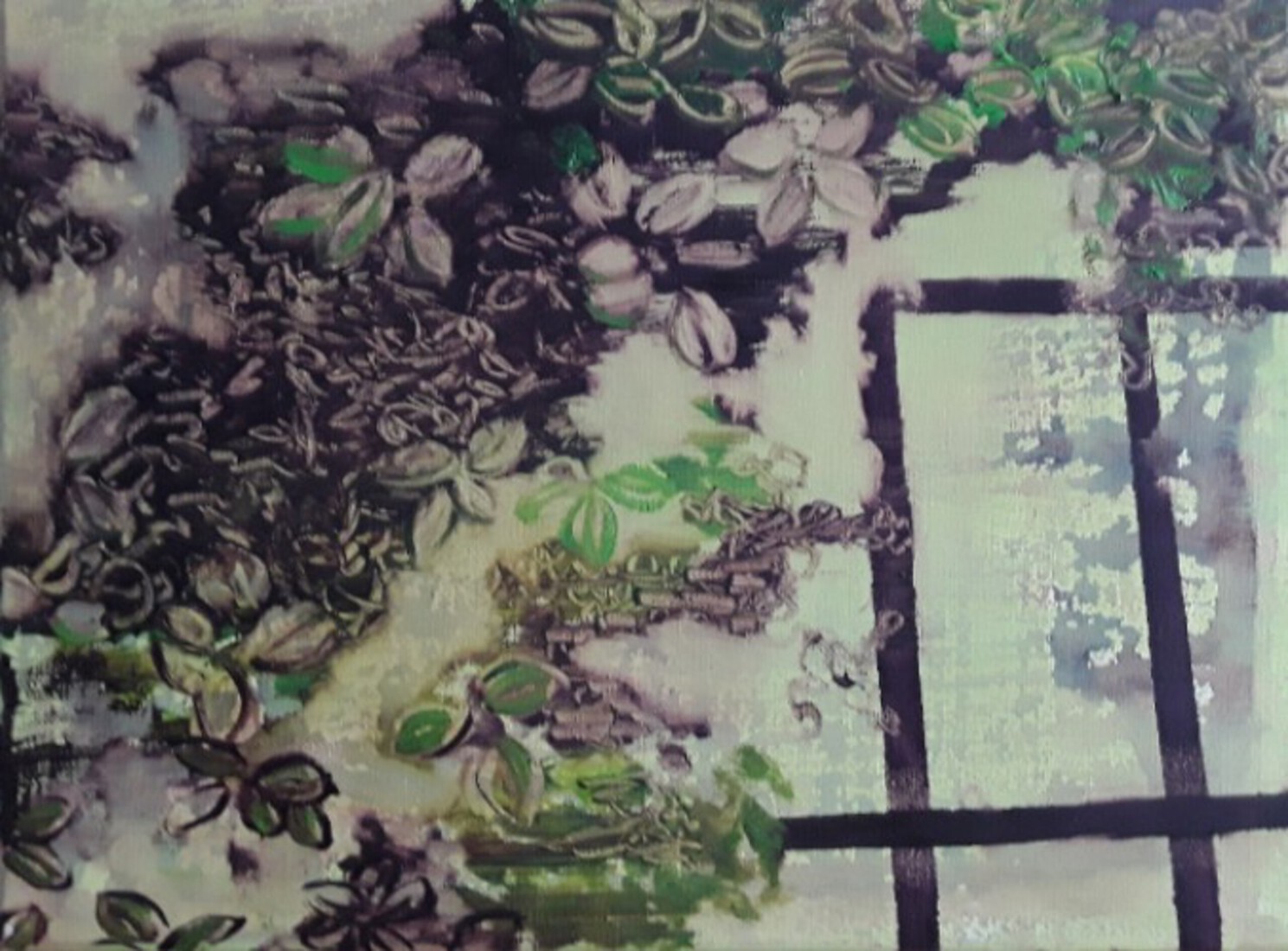 Hortus Leiden, drijvende planten in kas 2