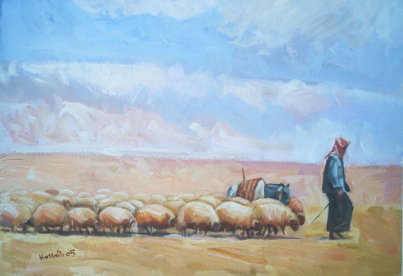 Schapen in Jordanie