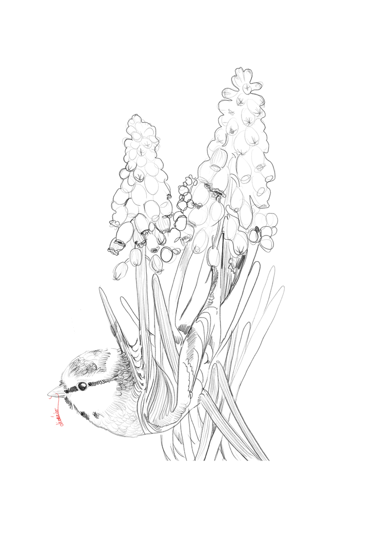 Vogel, bloem en een beetje rood