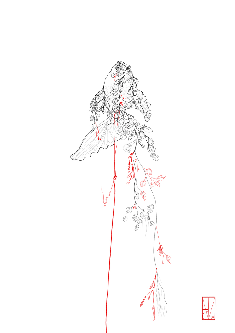Vis, plant, rode draad