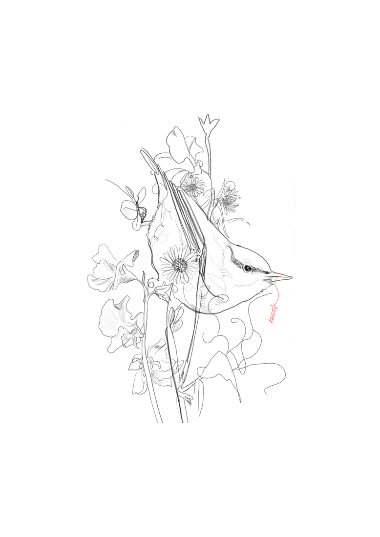 Vogel, bloem en een beetje rood 2
